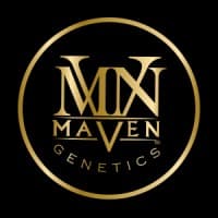 Maven Genetics logo