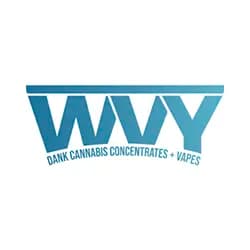 WVY logo