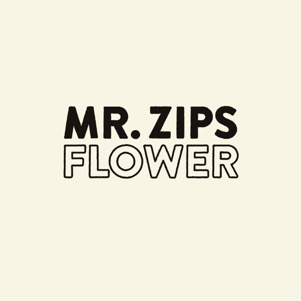 Mr. Zips logo