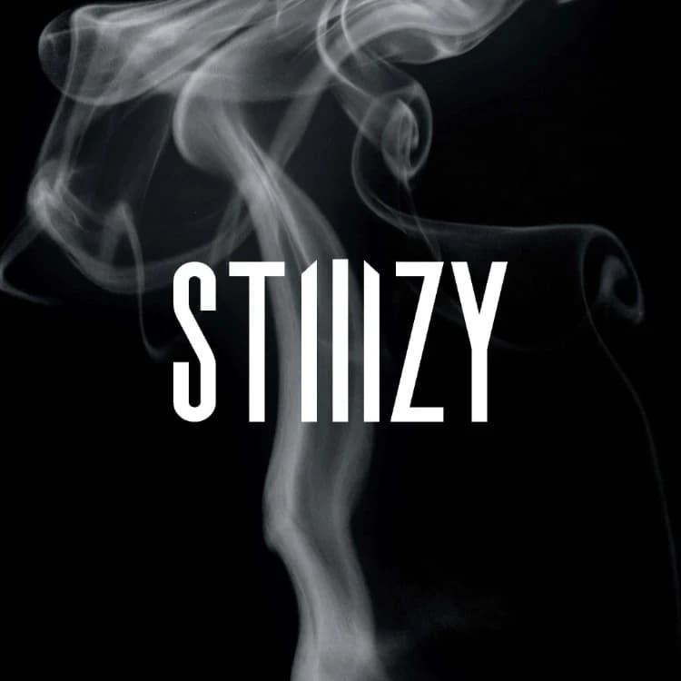STIIIZY - Vista logo